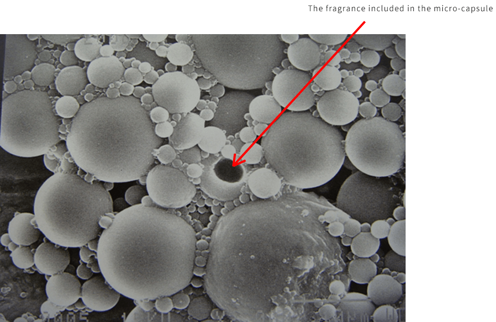 Nano/Micro-capsules